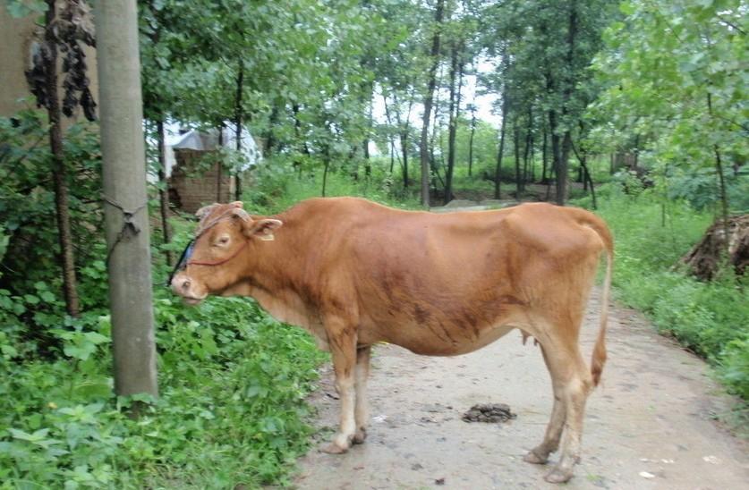 台州最新求一个套医保卡的黄牛是真的吗方法分析(最方便真实的台州求一个套医保卡的黄牛是真的吗还是假的方法)